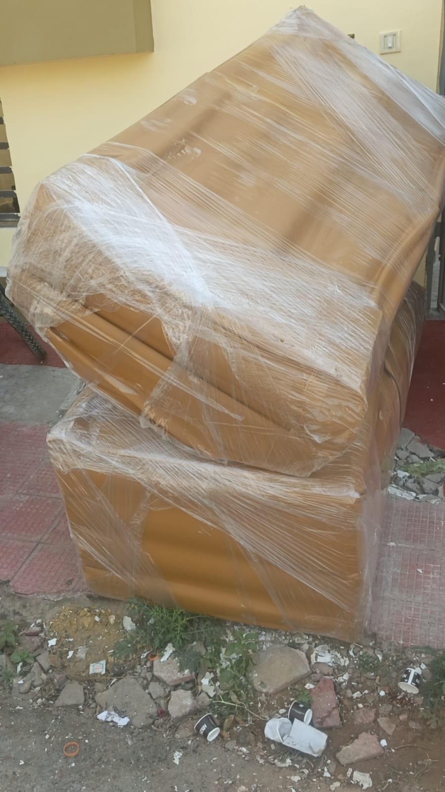 Carton organization